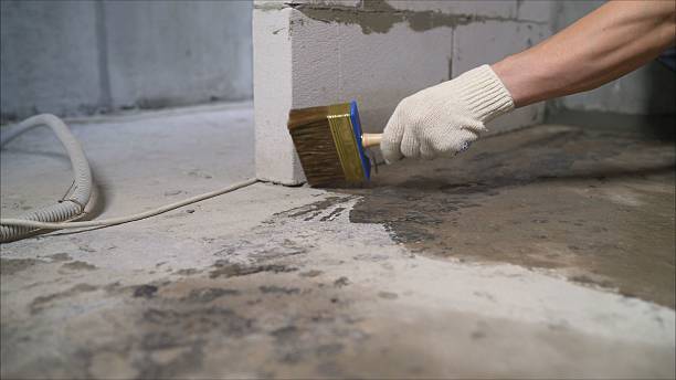 24/7 Emergency Wet Basement Repair experts in Sunbright, TN